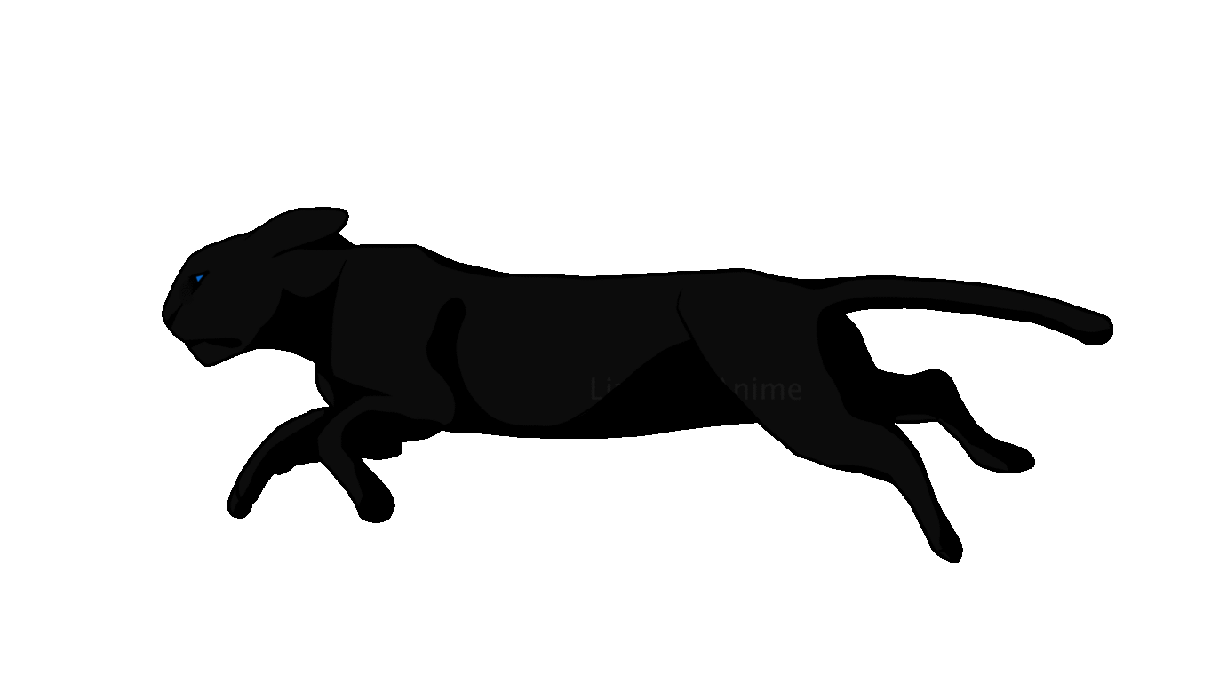 loader_PVit